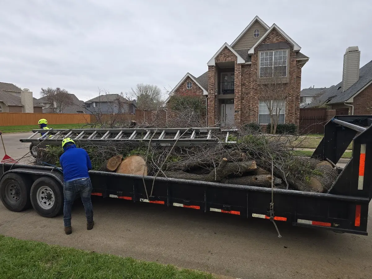 Expert Tree Fertilization with proper safety equipment in Hume
